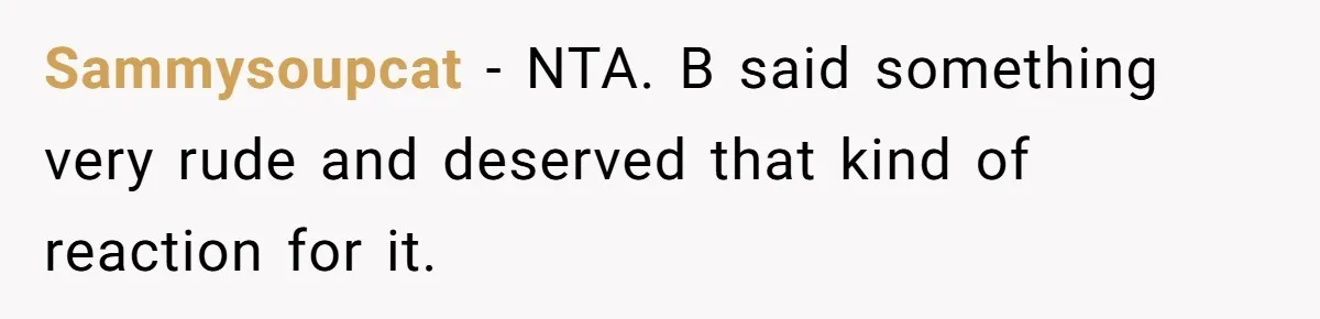 Sammysoupcat − NTA. B said something very rude and deserved that kind of reaction for it.