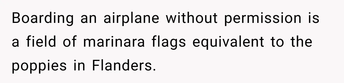 Boarding an airplane without permission is a field of marinara flags equivalent to the poppies in Flanders.