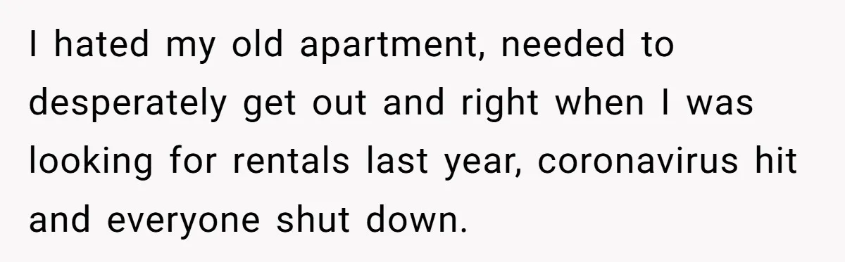 I hated my old apartment, needed to desperately get out and right when I was looking for rentals last year, coronavirus hit and everyone shut down.