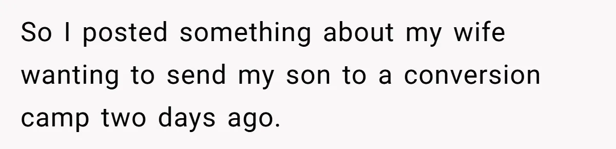 So I posted something about my wife wanting to send my son to a conversion camp two days ago.