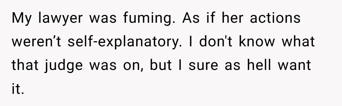 My lawyer was fuming. As if her actions weren’t self-explanatory. I don't know what that judge was on, but I sure as hell want it.