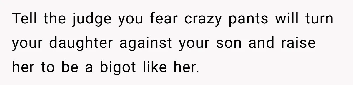 Tell the judge you fear crazy pants will turn your daughter against your son and raise her to be a bigot like her.
