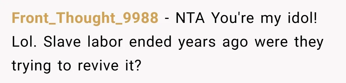 Front_Thought_9988 − NTA You're my idol! Lol. Slave labor ended years ago were they trying to revive it?
