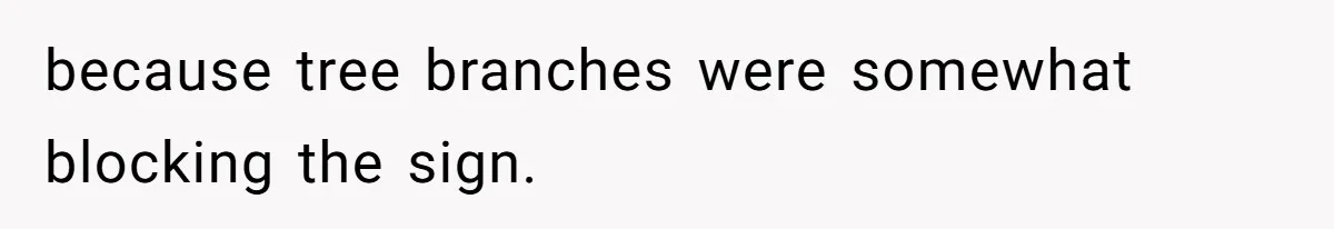 because tree branches were somewhat blocking the sign.