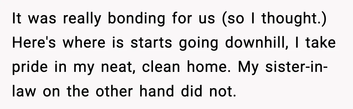 It was really bonding for us (so I thought.) Here's where is starts going downhill, I take pride in my neat, clean home. My sister-in-law on the other hand did...