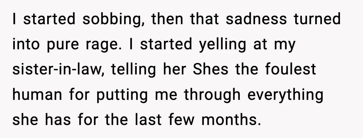 I started sobbing, then that sadness turned into pure rage. I started yelling at my sister-in-law, telling her Shes the foulest human for putting me through everything she has for...