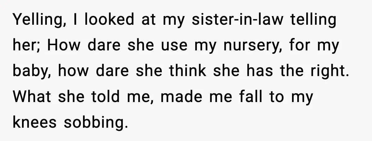Yelling, I looked at my sister-in-law telling her; How dare she use my nursery, for my baby, how dare she think she has the right. What she told me, made...