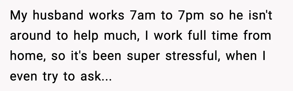 My husband works 7am to 7pm so he isn't around to help much, I work full time from home, so it's been super stressful, when I even try to ask...
