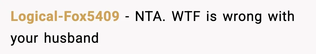 Logical-Fox5409 - NTA. WTF is wrong with your husband