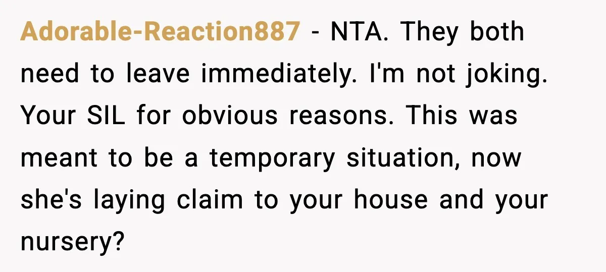 Adorable-Reaction887 - NTA. They both need to leave immediately. I'm not joking. Your SIL for obvious reasons. This was meant to be a temporary situation, now she's laying claim to...