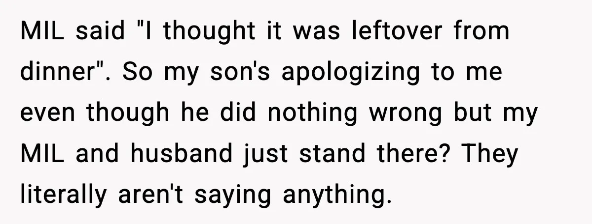 Husband Lets Mom Eat Wife’s Dinner, Then Calls Her “Mental” When She Snaps MIL said "I thought it was leftover from dinner". So my son's apologizing to me even though he did nothing wrong but my MIL and husband just stand there? They...