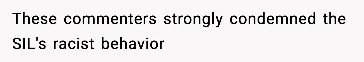 These commenters strongly condemned the SIL's racist behavior