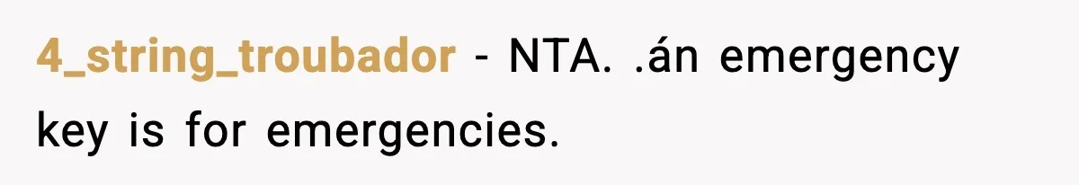 Wife Exposes MIL For Snooping On Christmas Dinner After Giving Her A Fake House Key 4_string_troubador − NTA. .án emergency key is for emergencies.