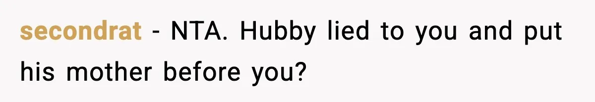 Wife Walks Out Of Airport After Discovering Husband Secretly Invited His Mom On Their Trip secondrat − NTA. Hubby lied to you and put his mother before you?