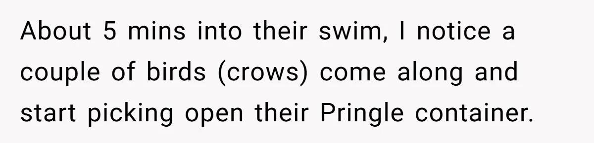 About 5 mins into their swim, I notice a couple of birds (crows) come along and start picking open their Pringle container.