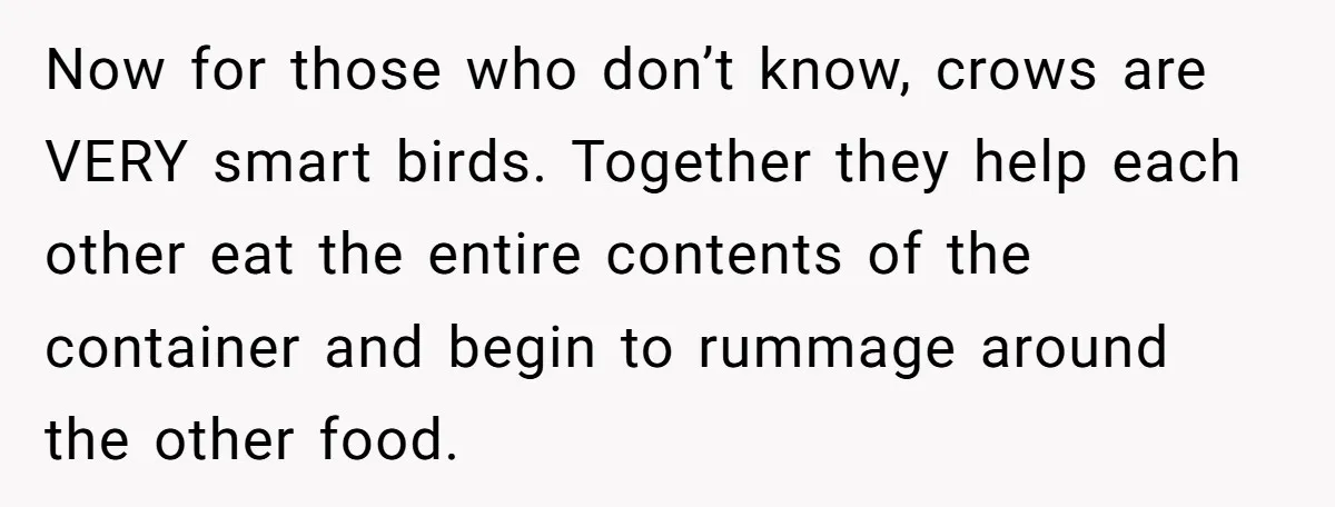 Now for those who don’t know, crows are VERY smart birds. Together they help each other eat the entire contents of the container and begin to rummage around the other...