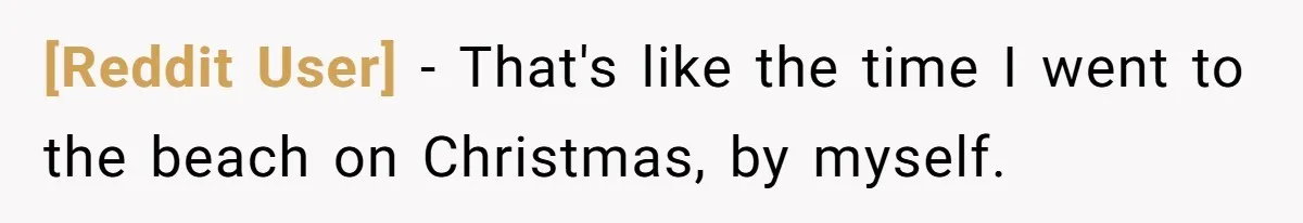 [Reddit User] − That's like the time I went to the beach on Christmas, by myself.