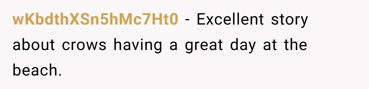 wKbdthXSn5hMc7Ht0 − Excellent story about crows having a great day at the beach.