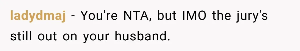 ladydmaj − You're NTA, but IMO the jury's still out on your husband.