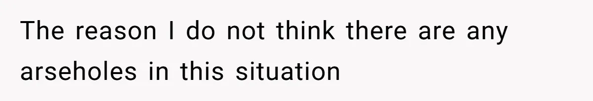 The reason I do not think there are any arseholes in this situation