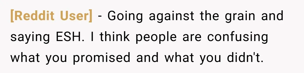 [Reddit User] − Going against the grain and saying ESH. I think people are confusing what you promised and what you didn't.