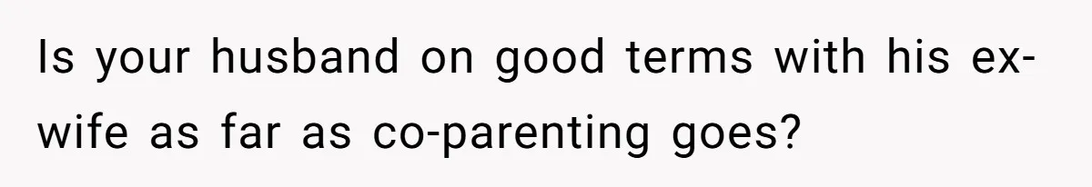 Is your husband on good terms with his ex-wife as far as co-parenting goes?