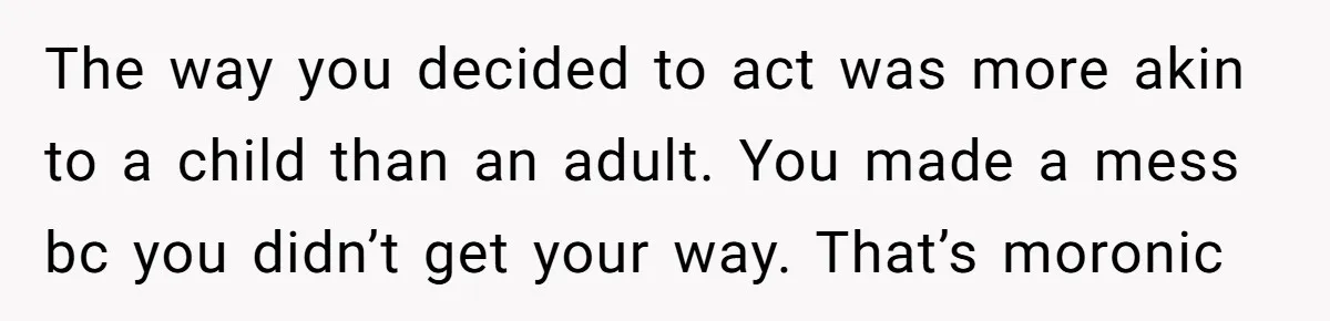 The way you decided to act was more akin to a child than an adult. You made a mess bc you didn’t get your way. That’s moronic