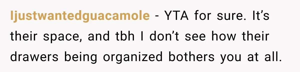 Ijustwantedguacamole − YTA for sure. It’s their space, and tbh I don’t see how their drawers being organized bothers you at all.