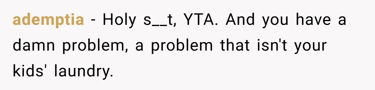 ademptia − Holy s__t, YTA. And you have a damn problem, a problem that isn't your kids' laundry.