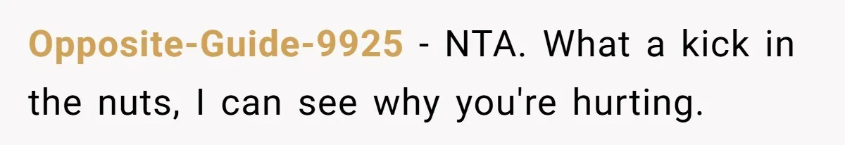 Opposite-Guide-9925 − NTA. What a kick in the nuts, I can see why you're hurting.