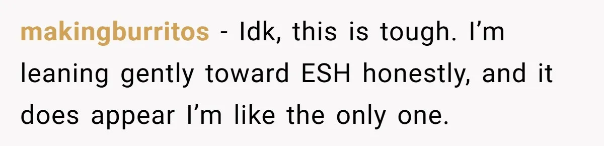 makingburritos − Idk, this is tough. I’m leaning gently toward ESH honestly, and it does appear I’m like the only one.