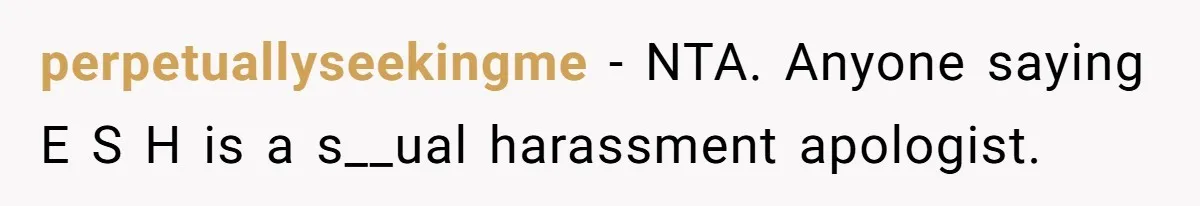 perpetuallyseekingme − NTA. Anyone saying E S H is a s__ual harassment apologist.