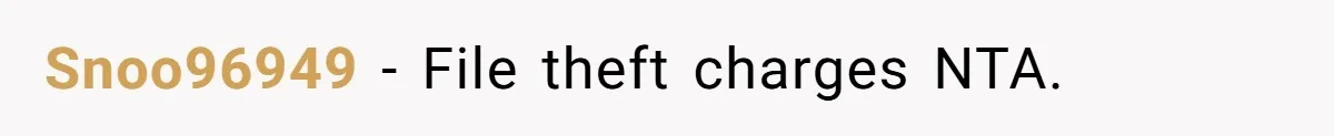 Snoo96949 − File theft charges NTA.