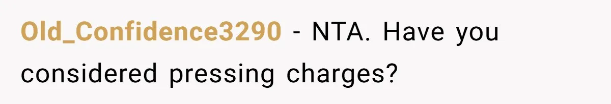 Old_Confidence3290 − NTA. Have you considered pressing charges?
