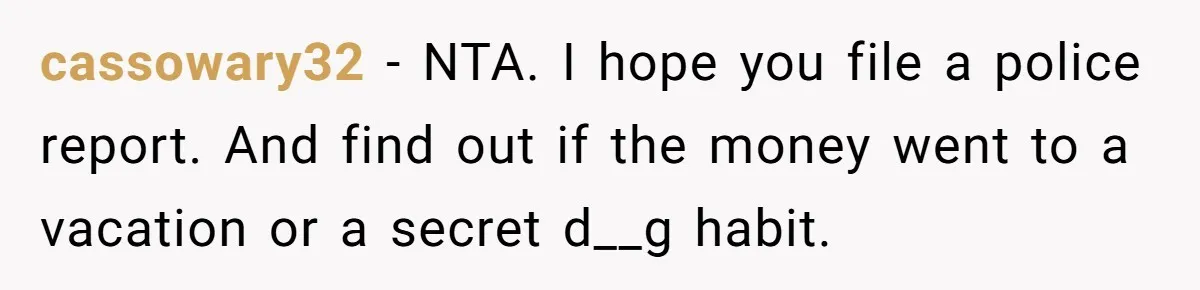 cassowary32 − NTA. I hope you file a police report. And find out if the money went to a vacation or a secret d__g habit.