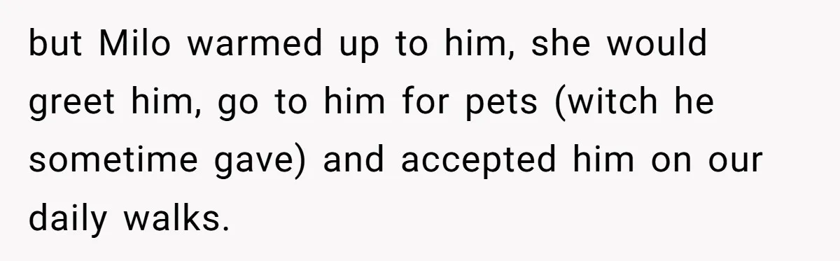 He Said He Loved Dogs. Then He “Lost” Her Senior Pup Milo. The Truth Broke the Internet. but Milo warmed up to him, she would greet him, go to him for pets (witch he sometime gave) and accepted him on our daily walks.