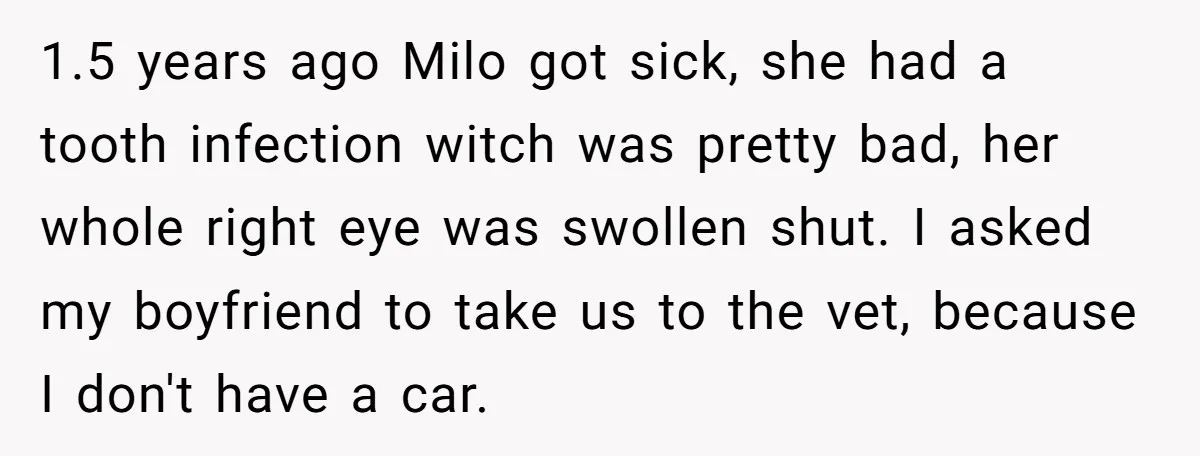 He Said He Loved Dogs. Then He “Lost” Her Senior Pup Milo. The Truth Broke the Internet. 1.5 years ago Milo got sick, she had a tooth infection witch was pretty bad, her whole right eye was swollen shut. I asked my boyfriend to take us to...