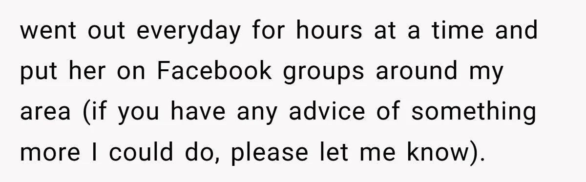 He Said He Loved Dogs. Then He “Lost” Her Senior Pup Milo. The Truth Broke the Internet. went out everyday for hours at a time and put her on Facebook groups around my area (if you have any advice of something more I could do, please let...