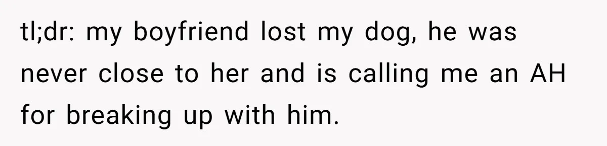 He Said He Loved Dogs. Then He “Lost” Her Senior Pup Milo. The Truth Broke the Internet. tl;dr: my boyfriend lost my dog, he was never close to her and is calling me an AH for breaking up with him.