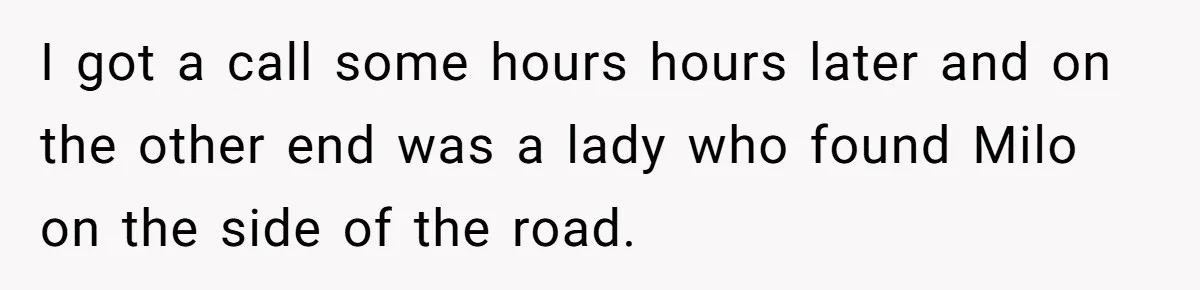 He Said He Loved Dogs. Then He “Lost” Her Senior Pup Milo. The Truth Broke the Internet. I got a call some hours hours later and on the other end was a lady who found Milo on the side of the road.