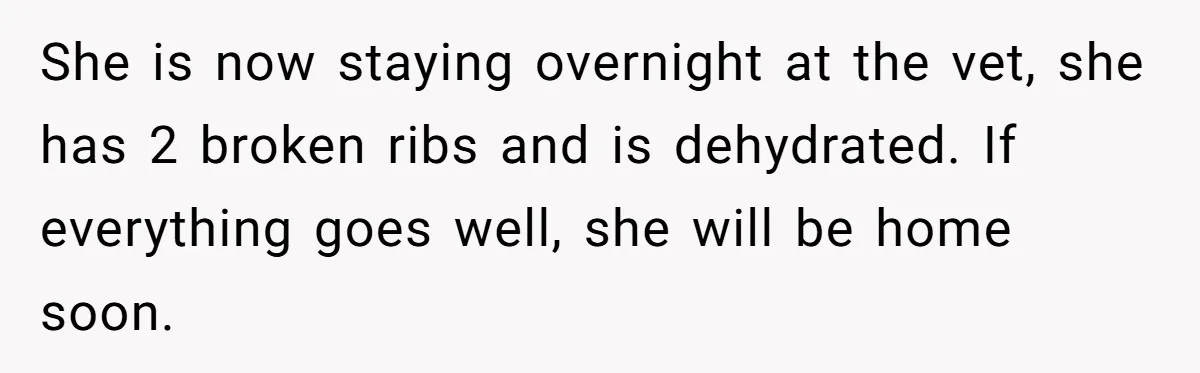 He Said He Loved Dogs. Then He “Lost” Her Senior Pup Milo. The Truth Broke the Internet. She is now staying overnight at the vet, she has 2 broken ribs and is dehydrated. If everything goes well, she will be home soon.