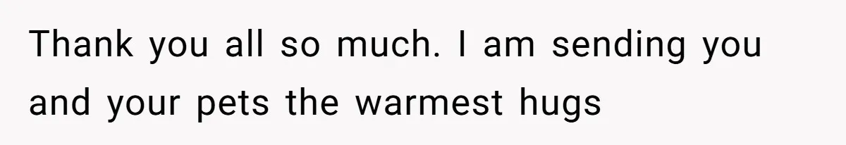 He Said He Loved Dogs. Then He “Lost” Her Senior Pup Milo. The Truth Broke the Internet. Thank you all so much. I am sending you and your pets the warmest hugs