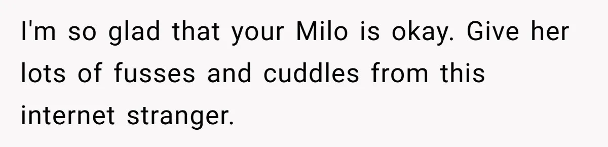 He Said He Loved Dogs. Then He “Lost” Her Senior Pup Milo. The Truth Broke the Internet. I'm so glad that your Milo is okay. Give her lots of fusses and cuddles from this internet stranger.
