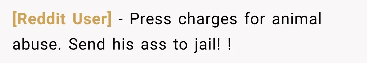 [Reddit User] − Press charges for animal abuse. Send his ass to jail! !