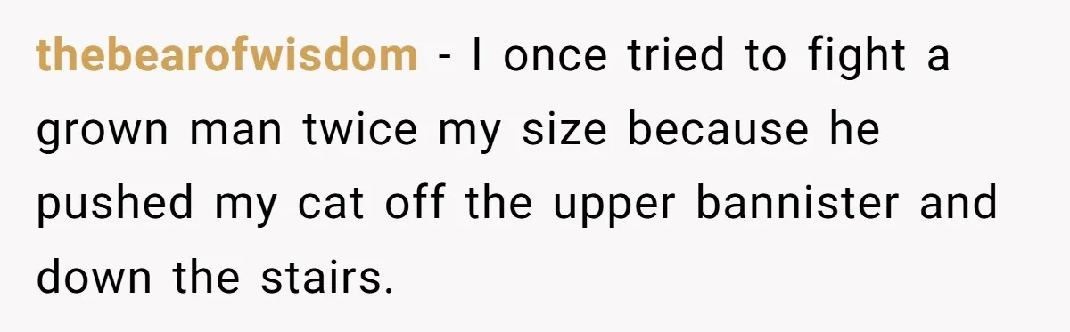 He Said He Loved Dogs. Then He “Lost” Her Senior Pup Milo. The Truth Broke the Internet. thebearofwisdom − I once tried to fight a grown man twice my size because he pushed my cat off the upper bannister and down the stairs.