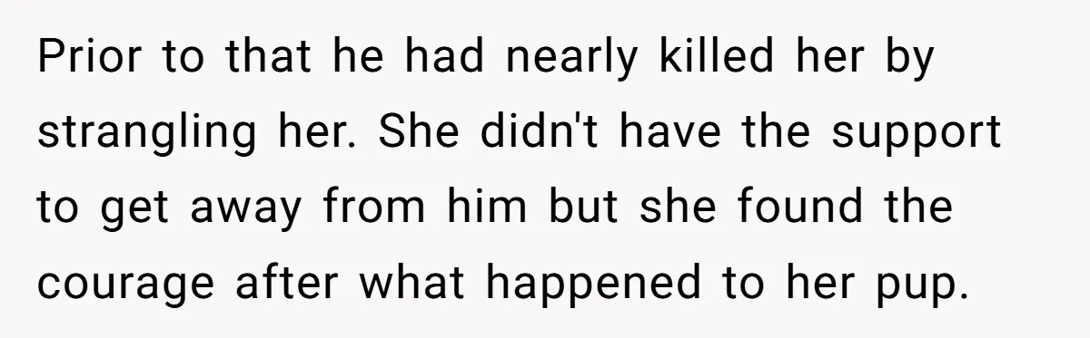 He Said He Loved Dogs. Then He “Lost” Her Senior Pup Milo. The Truth Broke the Internet. Prior to that he had nearly killed her by strangling her. She didn't have the support to get away from him but she found the courage after what happened to...
