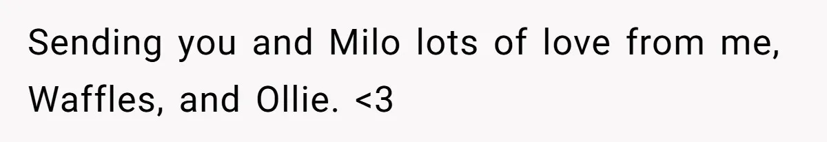 He Said He Loved Dogs. Then He “Lost” Her Senior Pup Milo. The Truth Broke the Internet. Sending you and Milo lots of love from me, Waffles, and Ollie. <3