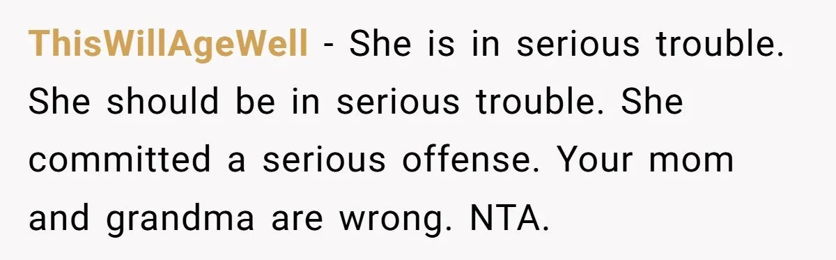 Sister Steals $3,500 From Sibling's College Grant, And The Family Wants To “Just Let It Go” ThisWillAgeWell − She is in serious trouble. She should be in serious trouble. She committed a serious offense. Your mom and grandma are wrong. NTA.