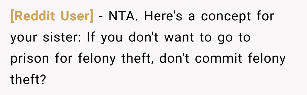 [Reddit User] − NTA. Here's a concept for your sister: If you don't want to go to prison for felony theft, don't commit felony theft?