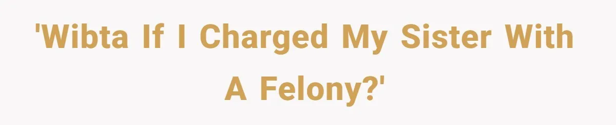 Sister Steals $3,500 From Sibling's College Grant, And The Family Wants To “Just Let It Go” 'WIBTA if I charged my sister with a felony?'
